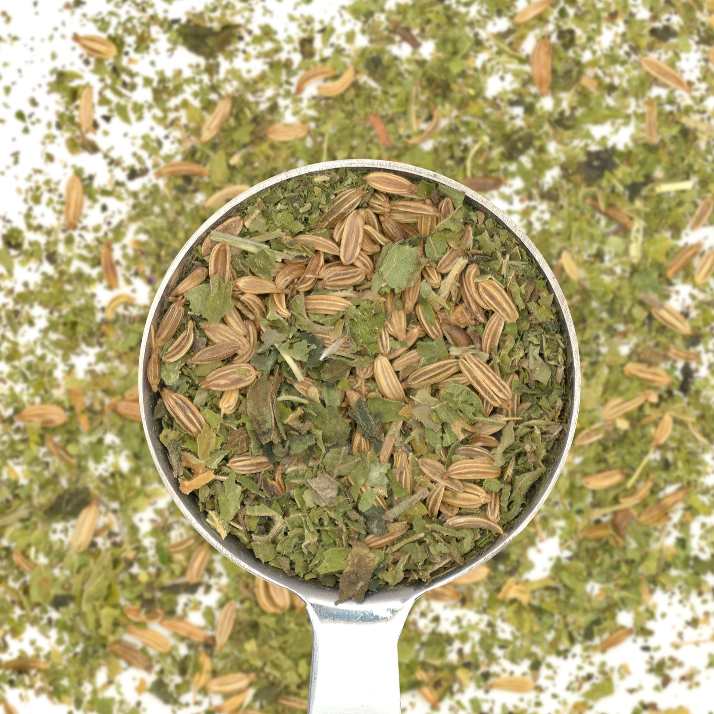 Fennel Fields