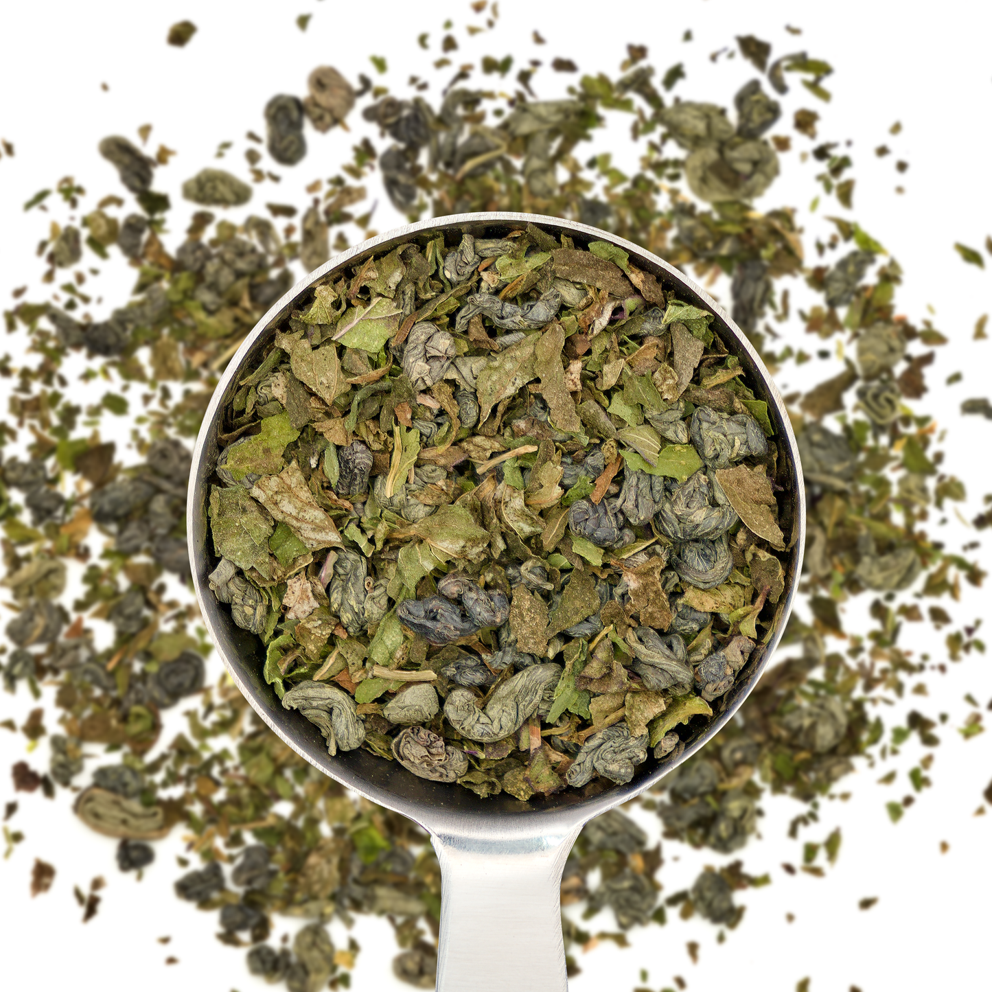 Morrocan Mint