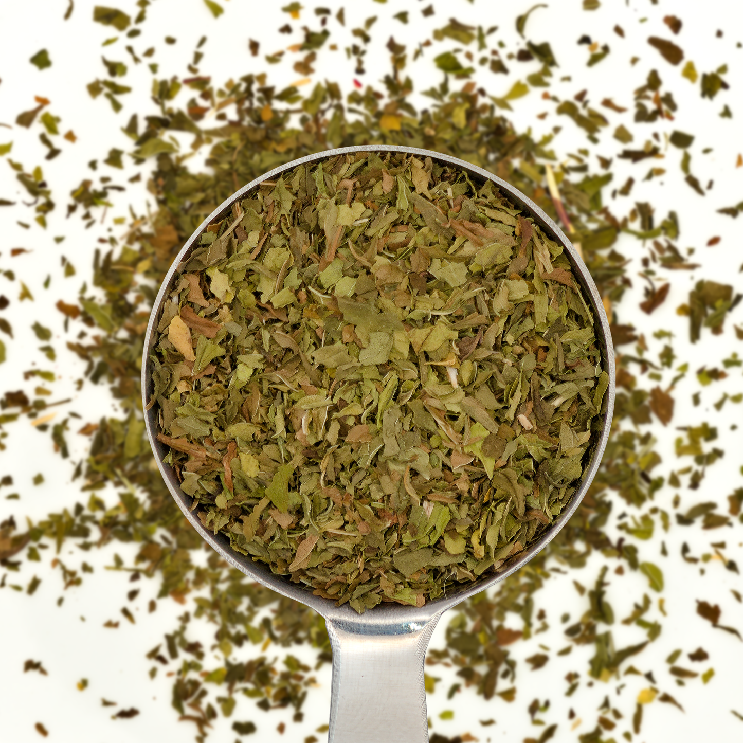 Spearmint