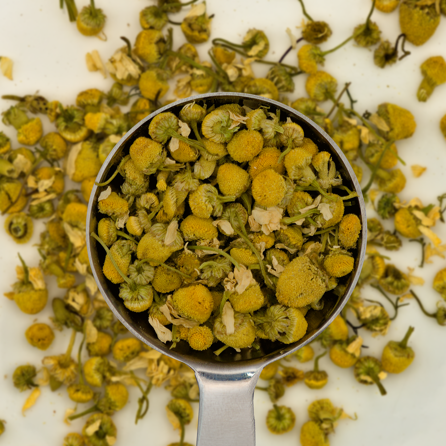 Chamomile