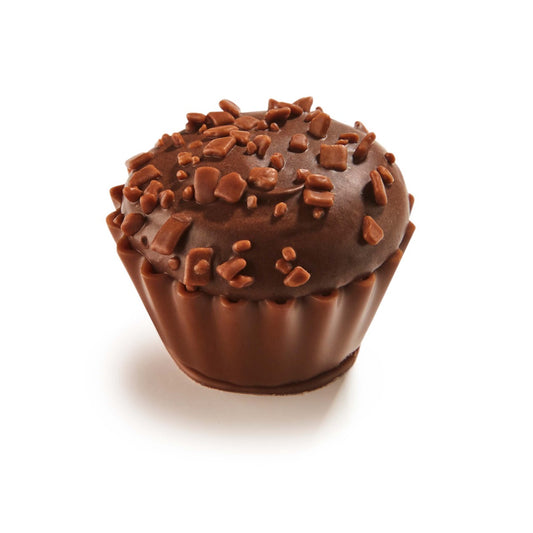 Chocolate Muffin