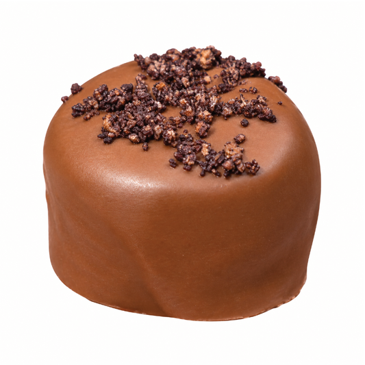 Chocolate Fudge Brownie