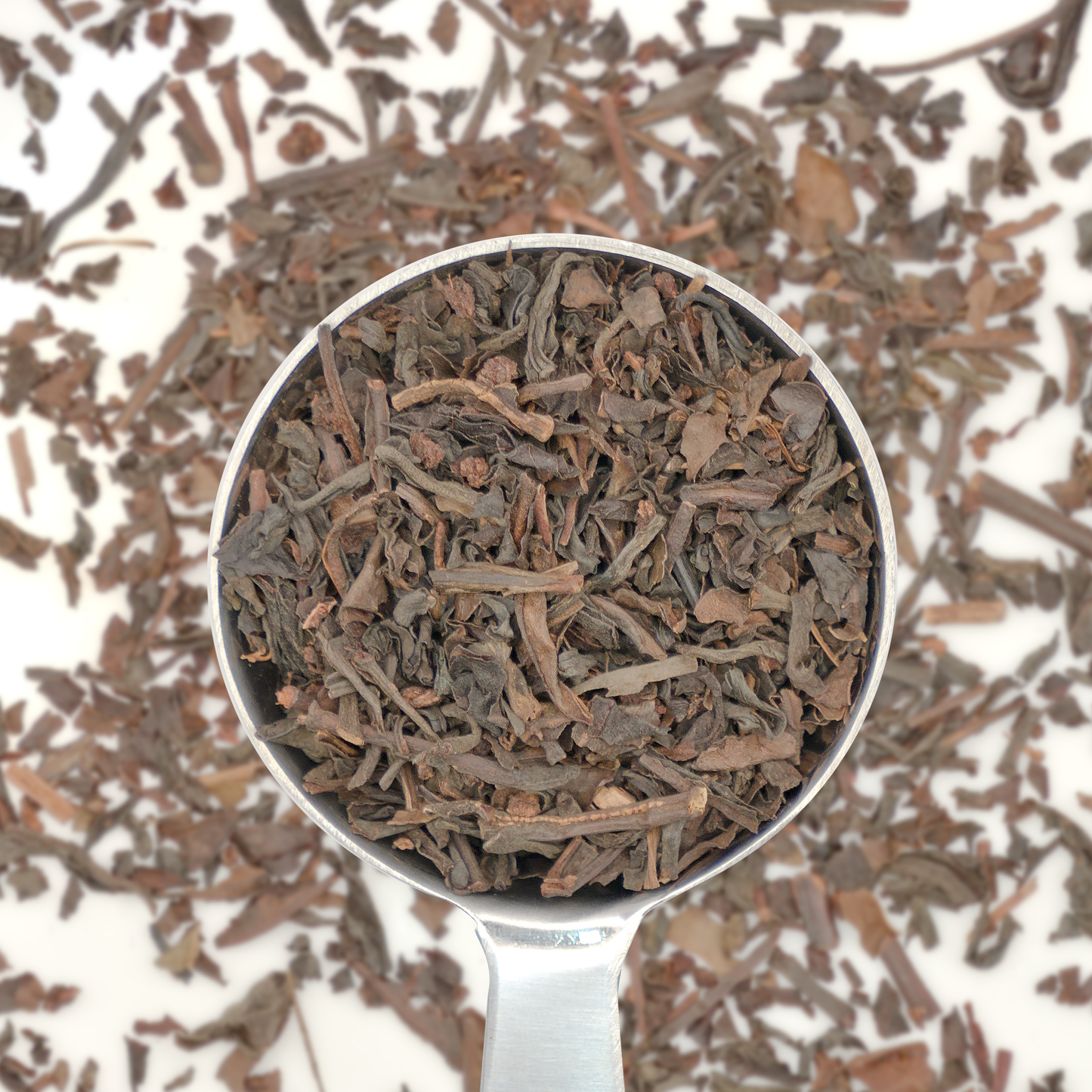 Lapsang Souchong